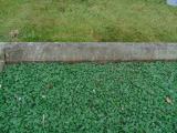 image of grave number 583080